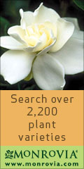 Monrovia - Plant Catalog