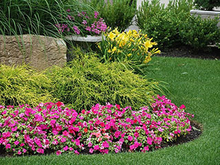 Landscape Design & Installation